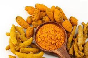 Turmeric Antioxidant Experiment | Science Fair Projects | STEM Projects